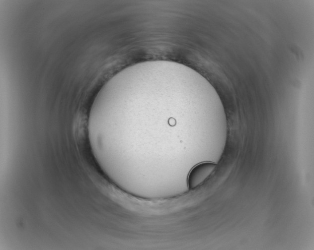 X0000114510038200911091139