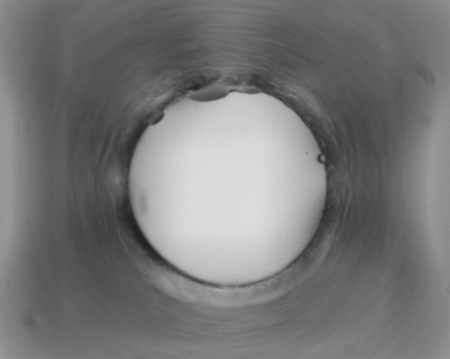 X0000114510039200911091139