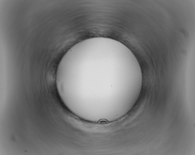 X0000114510040200911091139