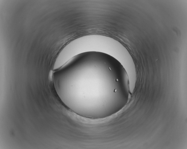 X0000114510047200911091139