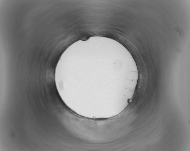 X0000114510048200911091139