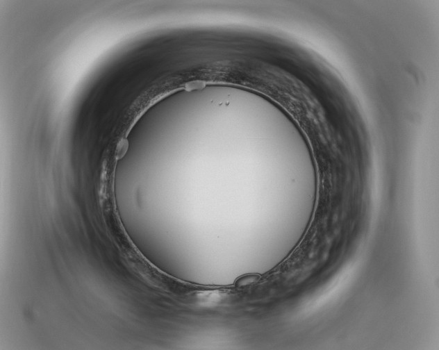 X0000114510050200911091138