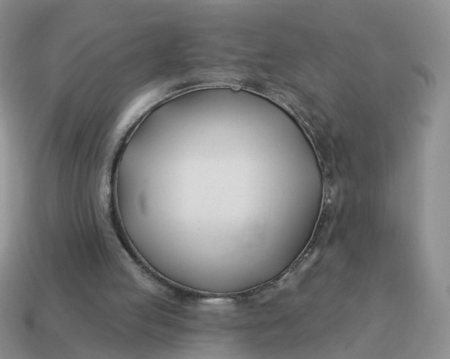 X0000114510053200911091138