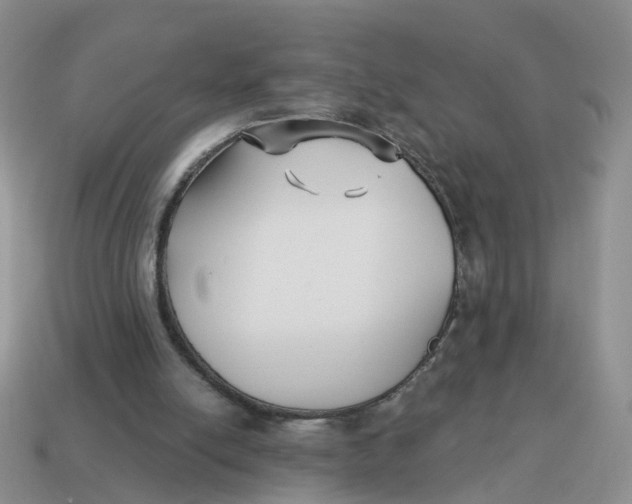 X0000114510054200911091138