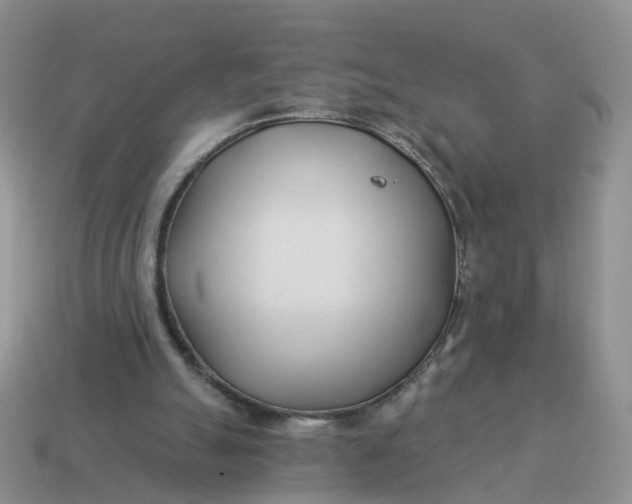 X0000114510055200911091138