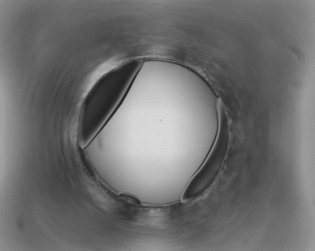 X0000114510056200911091138