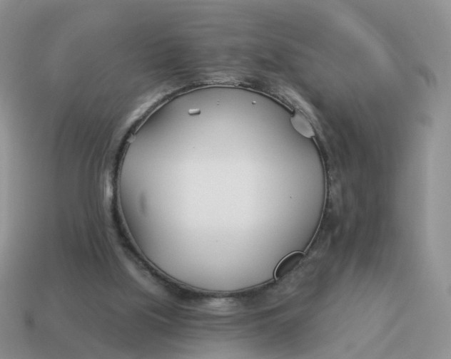 X0000114510059200911091138