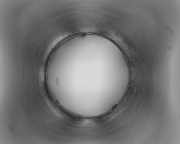 X0000114510060200911091138