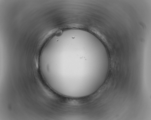 X0000114510062200911091138