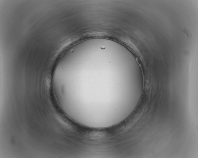 X0000114510063200911091138