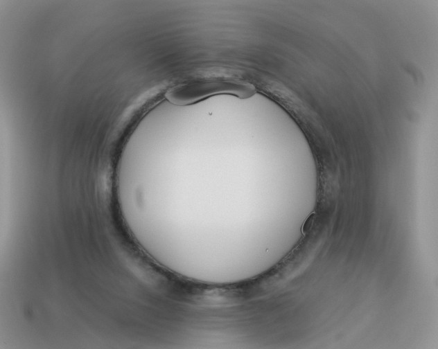 X0000114510064200911091138