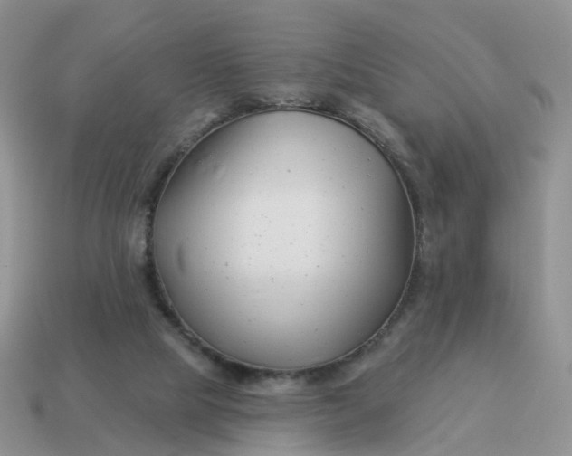 X0000114510065200911091138