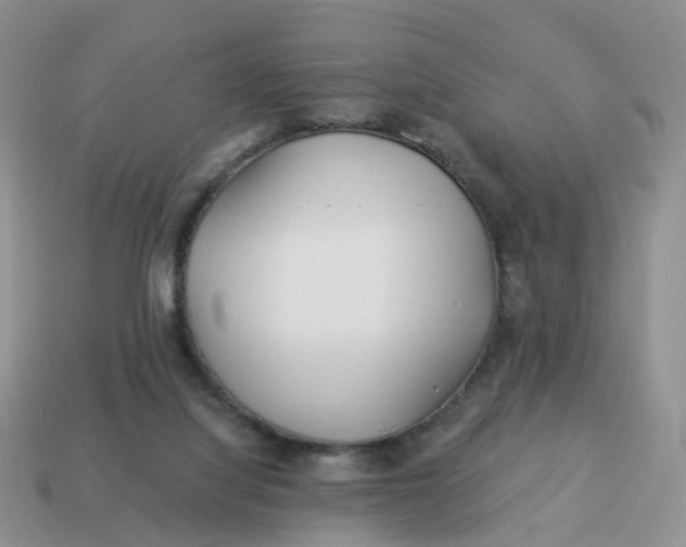 X0000114510068200911091138