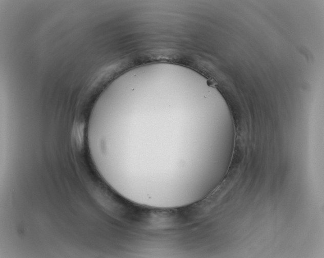 X0000114510070200911091138