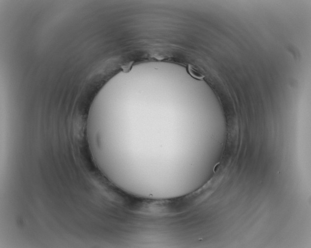 X0000114510078200911091138