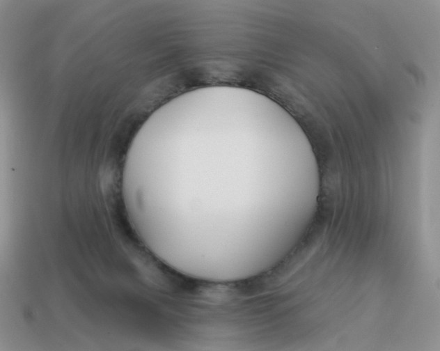 X0000114510079200911091138