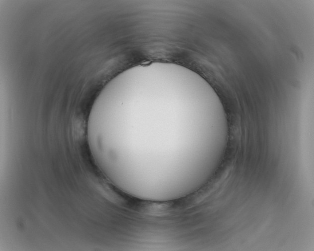 X0000114510081200911091138