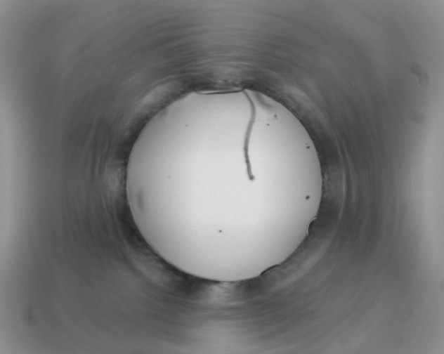 X0000114510092200911091138