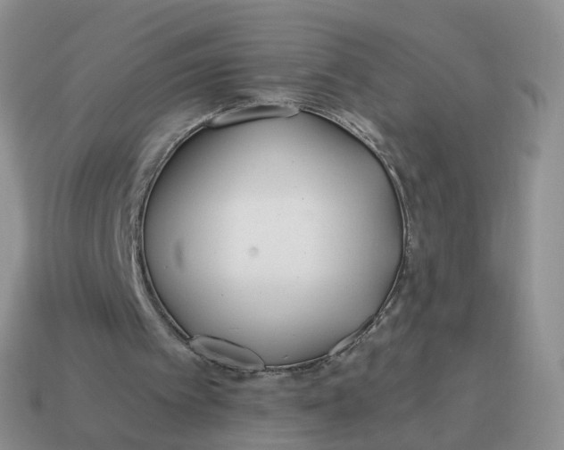 X0000114510097200911091138