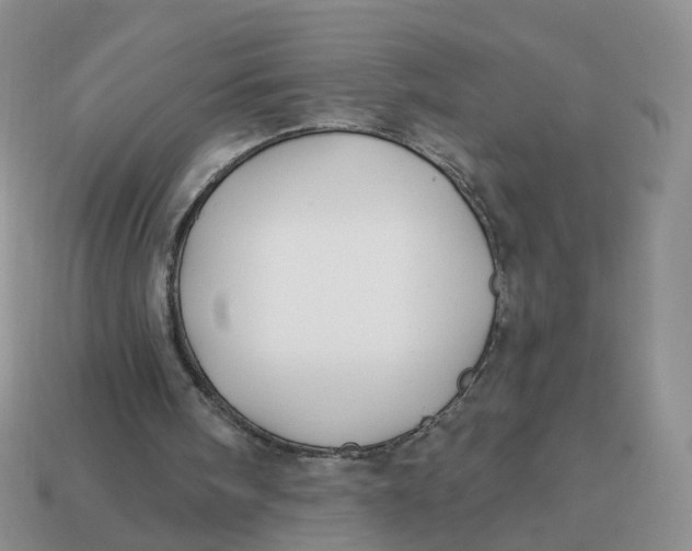 X0000114510098200911091138