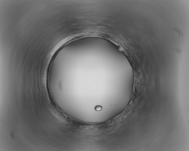 X0000114510100200911091138