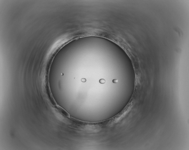 X0000114510101200911091138