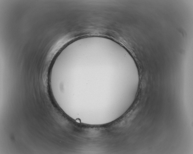 X0000114510103200911091138