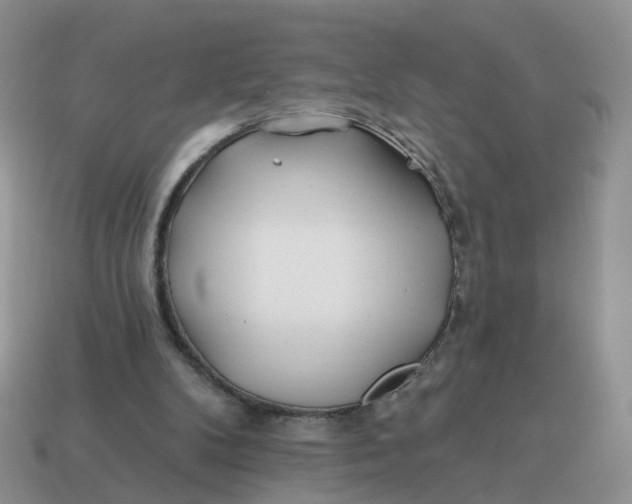 X0000114510104200911091138