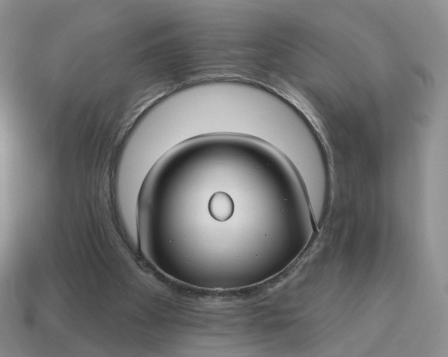 X0000114510105200911091138