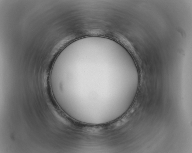 X0000114510106200911091138