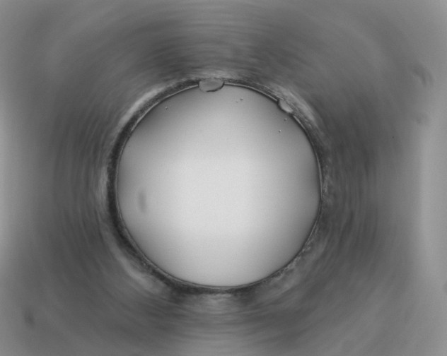 X0000114510108200911091138