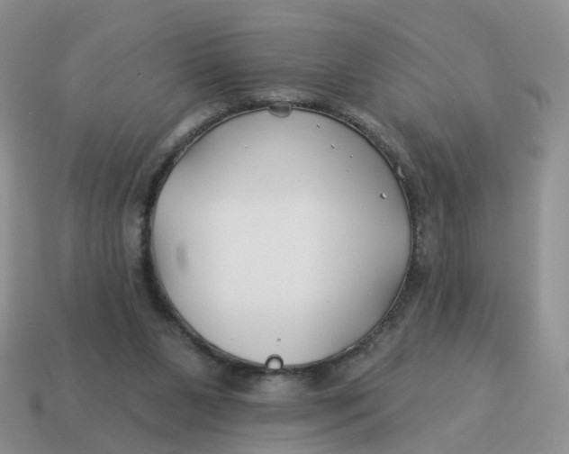 X0000114510111200911091138