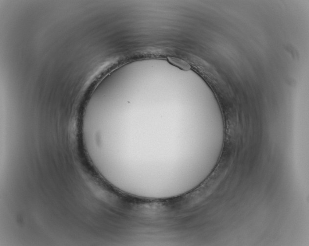 X0000114510112200911091138