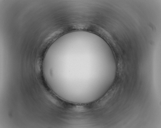 X0000114510114200911091138