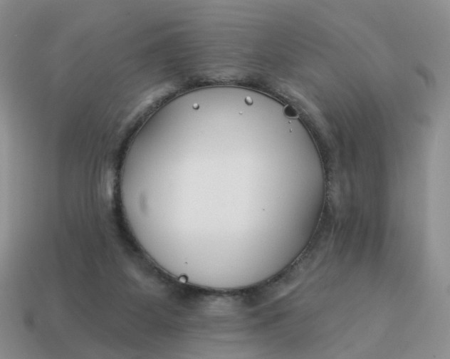 X0000114510115200911091138