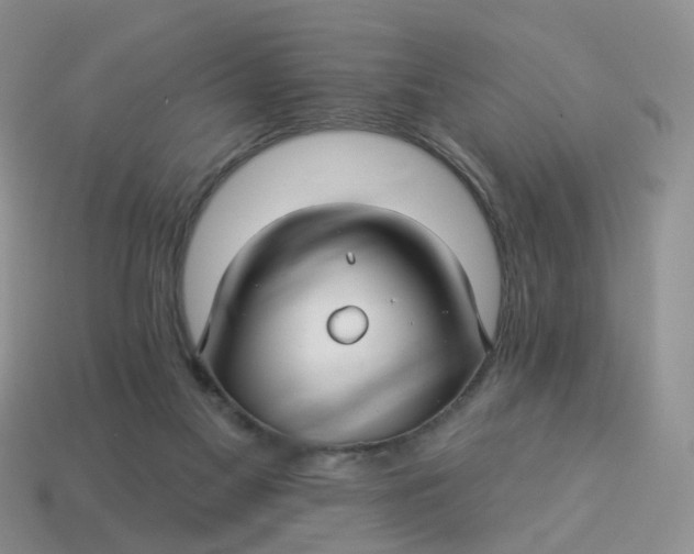 X0000114510117200911091138