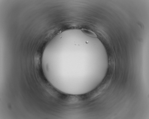 X0000114510127200911091138