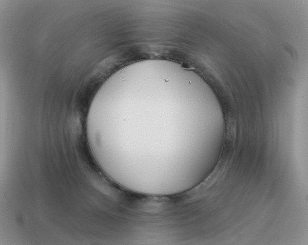 X0000114510128200911091138