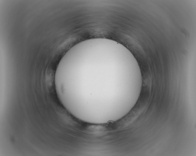 X0000114510133200911091137