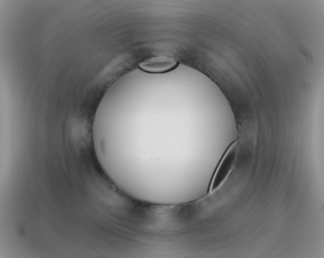 X0000114510136200911091137