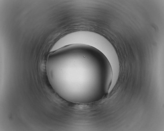 X0000114510137200911091137