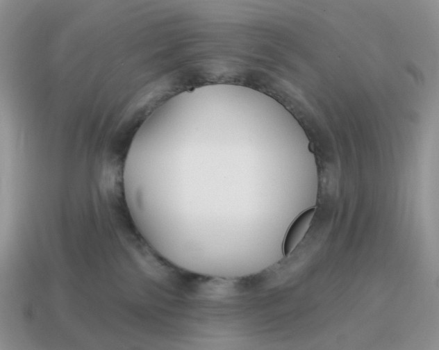 X0000114510138200911091137