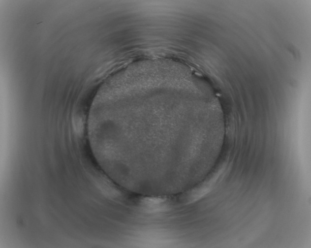 X0000114510139200911091137