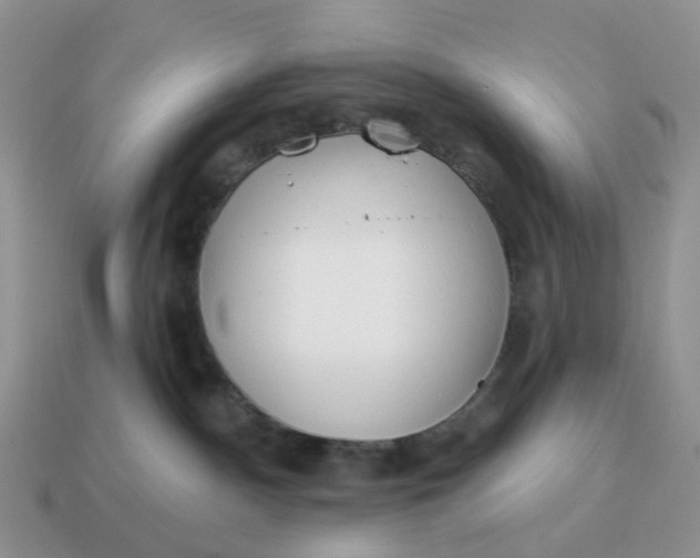 X0000114510140200911091137