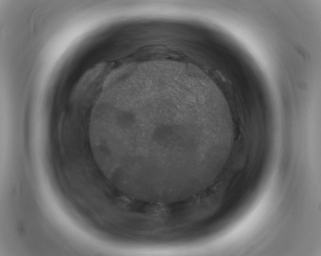 X0000114510143200911091137