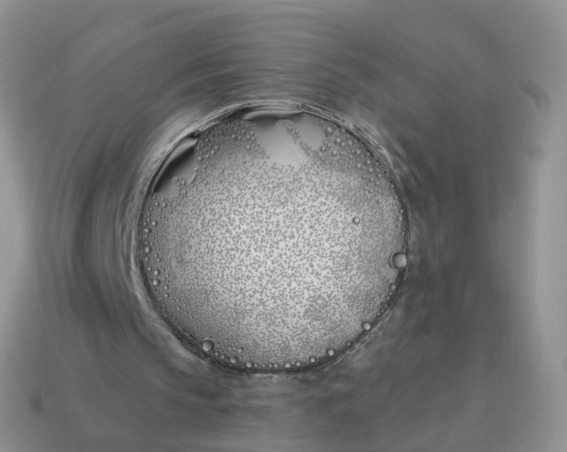 X0000114510145200911091137