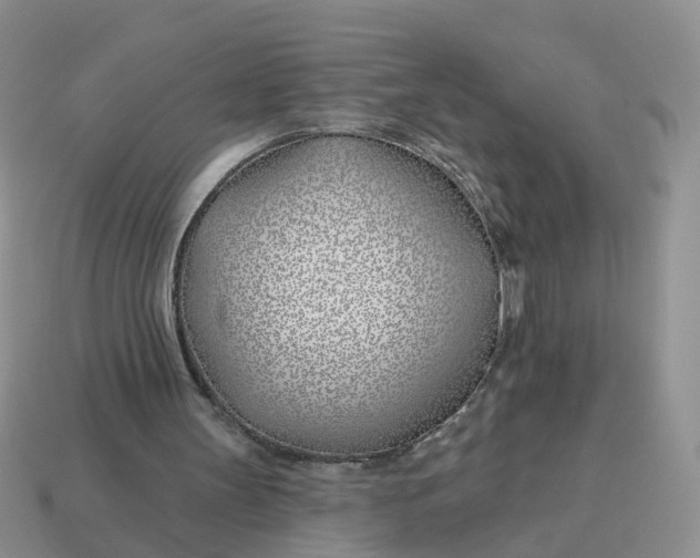 X0000114510147200911091137