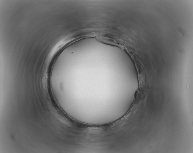 X0000114510150200911091137