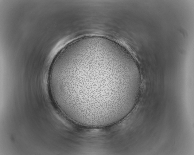 X0000114510151200911091137