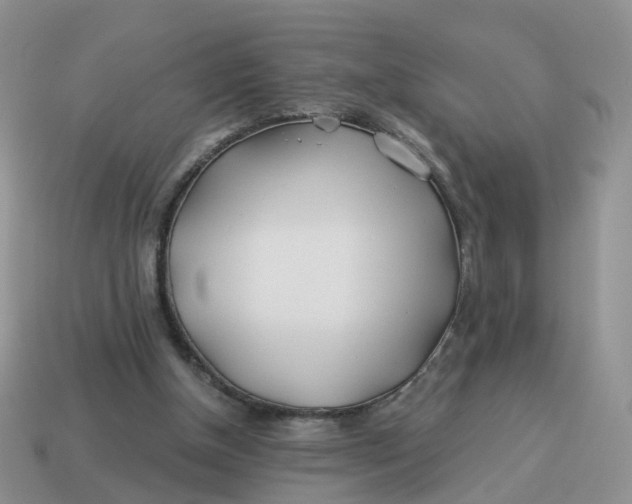 X0000114510154200911091137